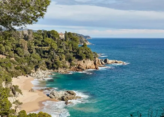 Pretty Garden Next To A Charming