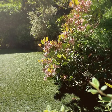 Pretty Garden Next To A Charming Apartment