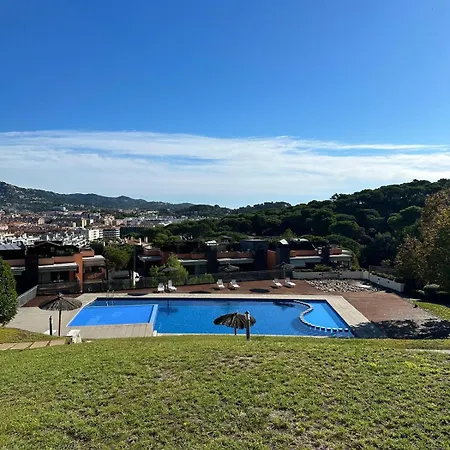 Pretty Garden Next To A Charming *